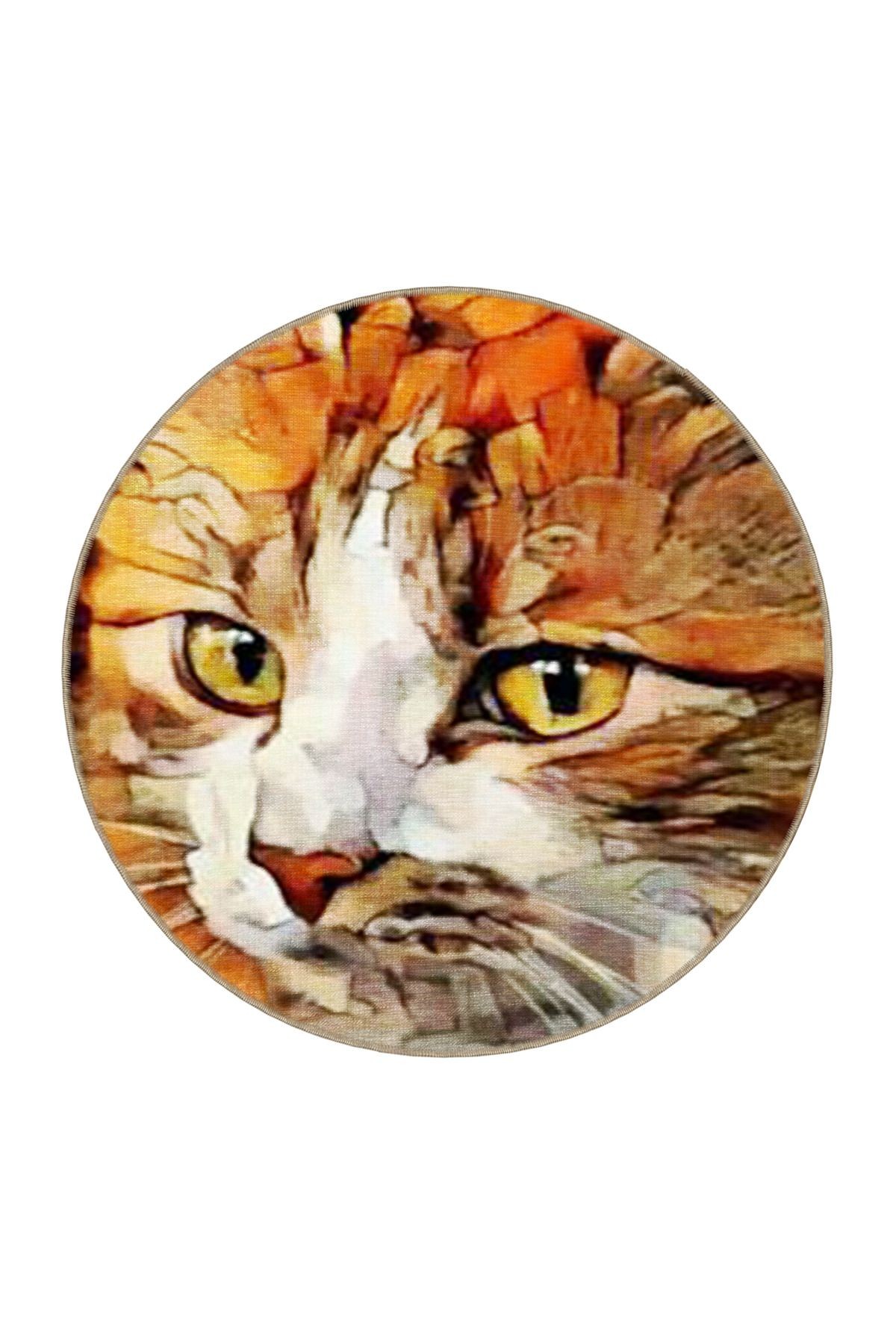 Turuncu Temalı Sürrealist Tasarım Kedi Desenli Modern Dekoratif Halı 3468