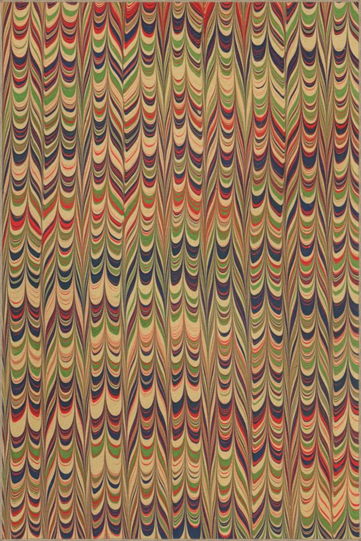 Çok Renkli Dalgalı Soyut Desenli Kreatif Modern Dekoratif Halı 4730