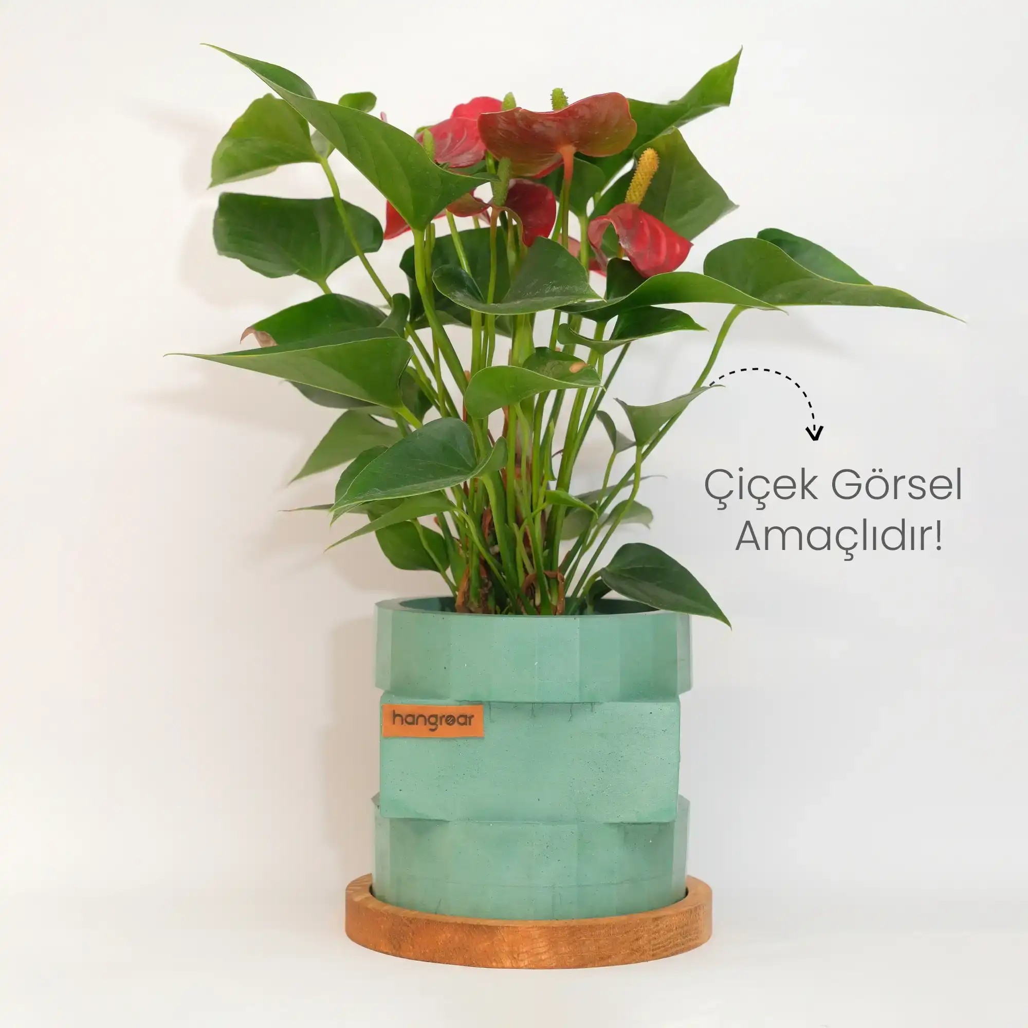 Cirquare Flower Pot