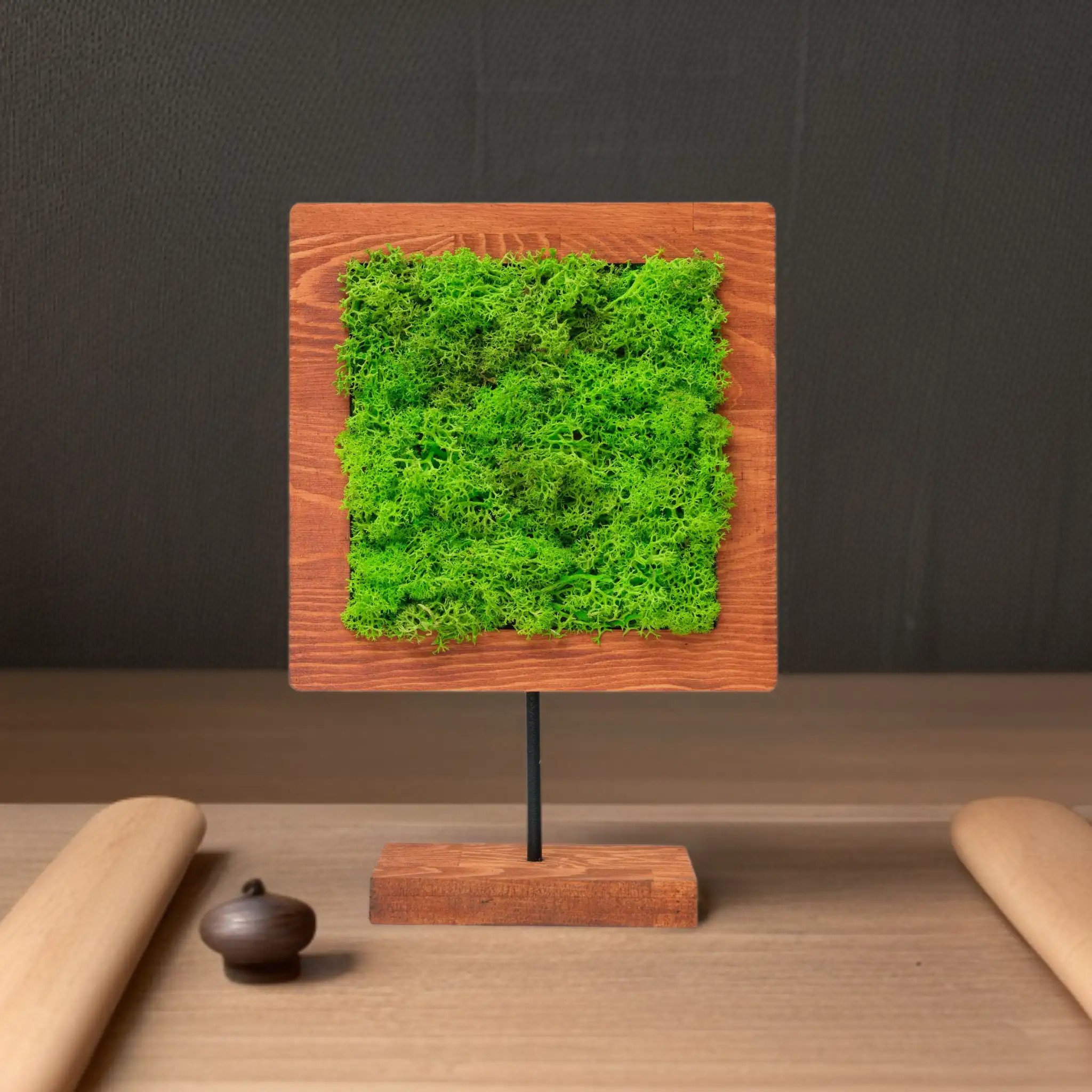 Square Moss Dekoratif Obje