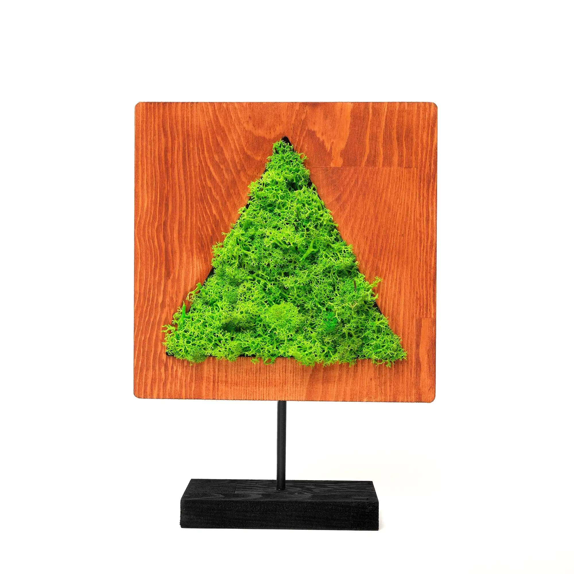 Triangular Moss Decorative Obje