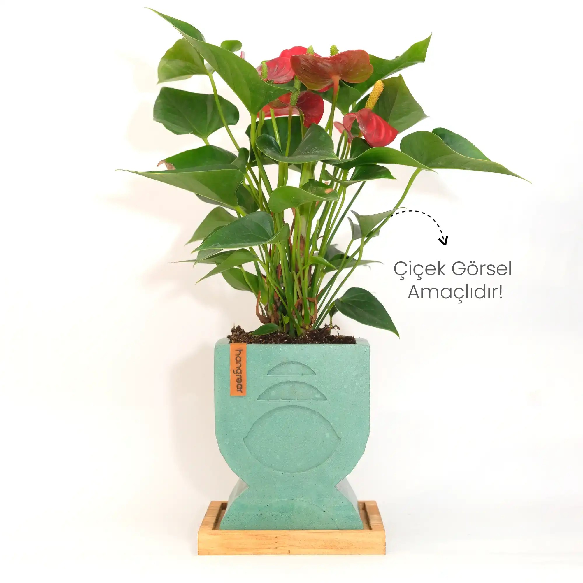 Bohemian Flower Pot