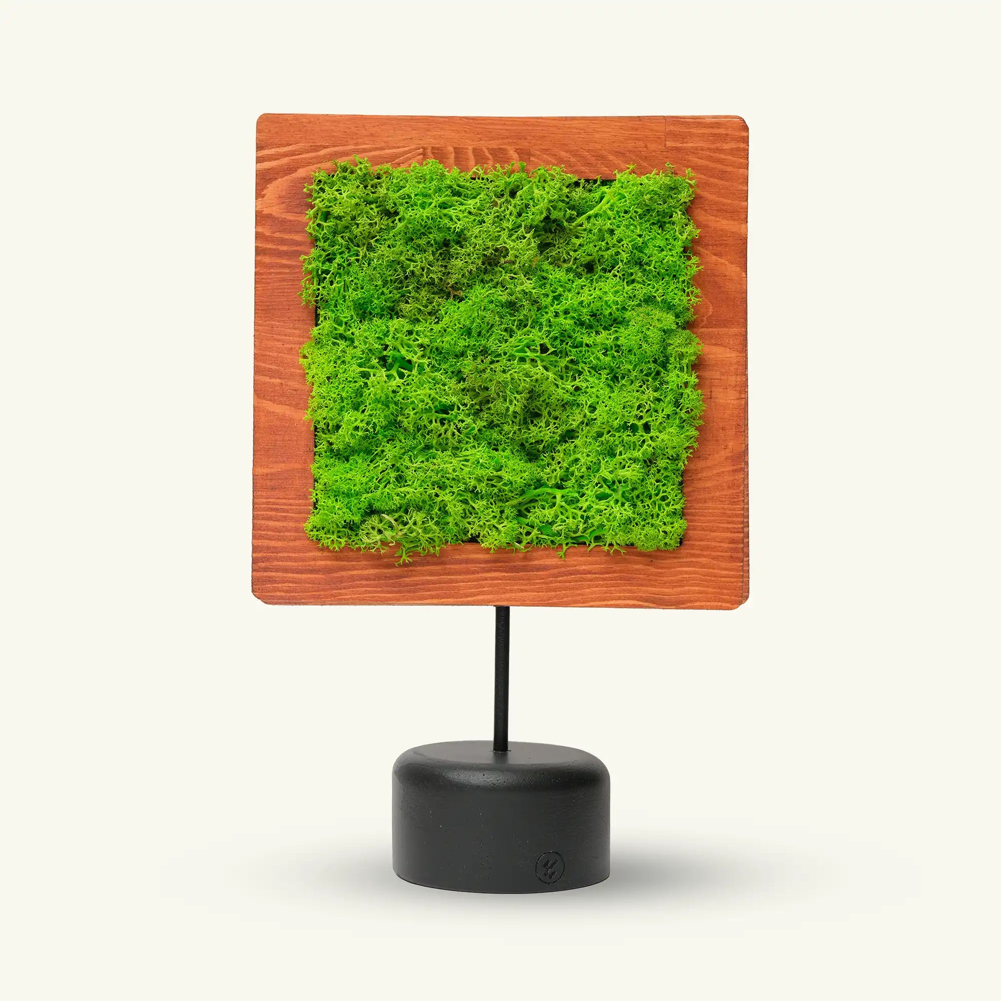 Square Moss Dekoratif Obje