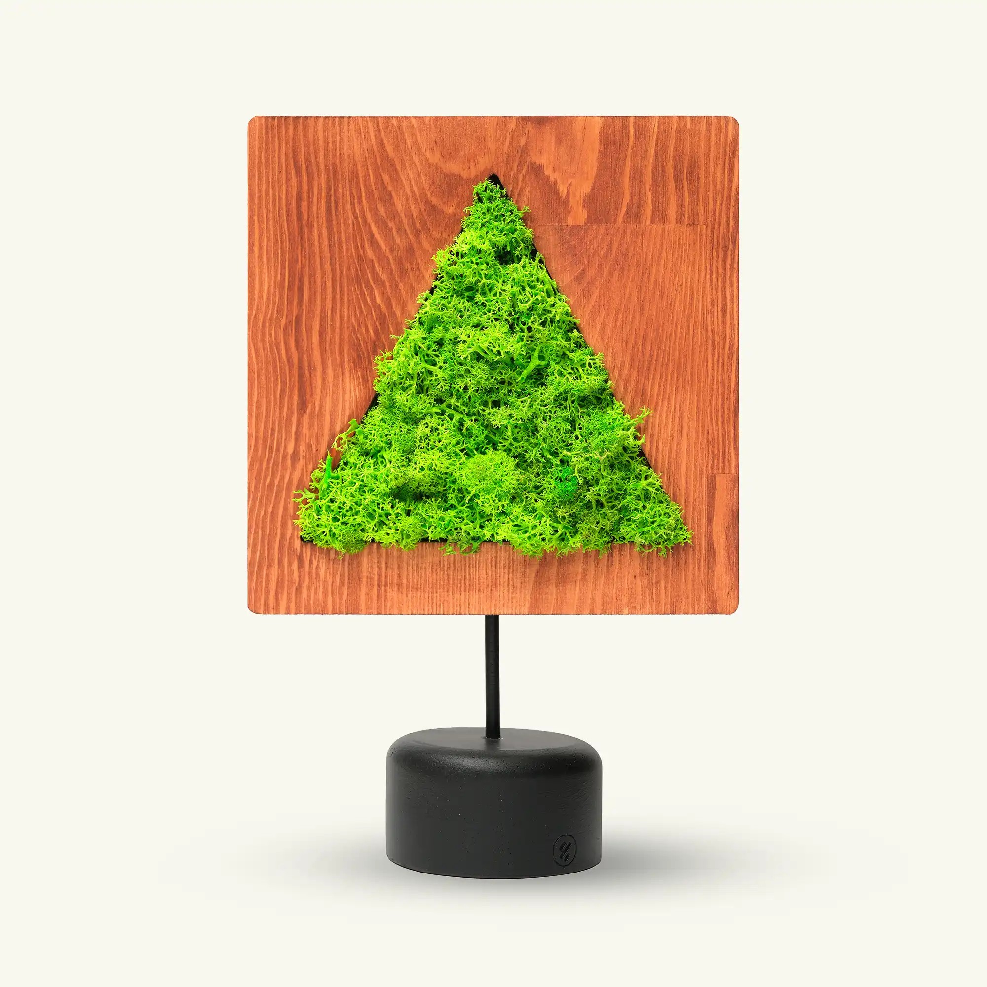 Triangular Moss Decorative Obje