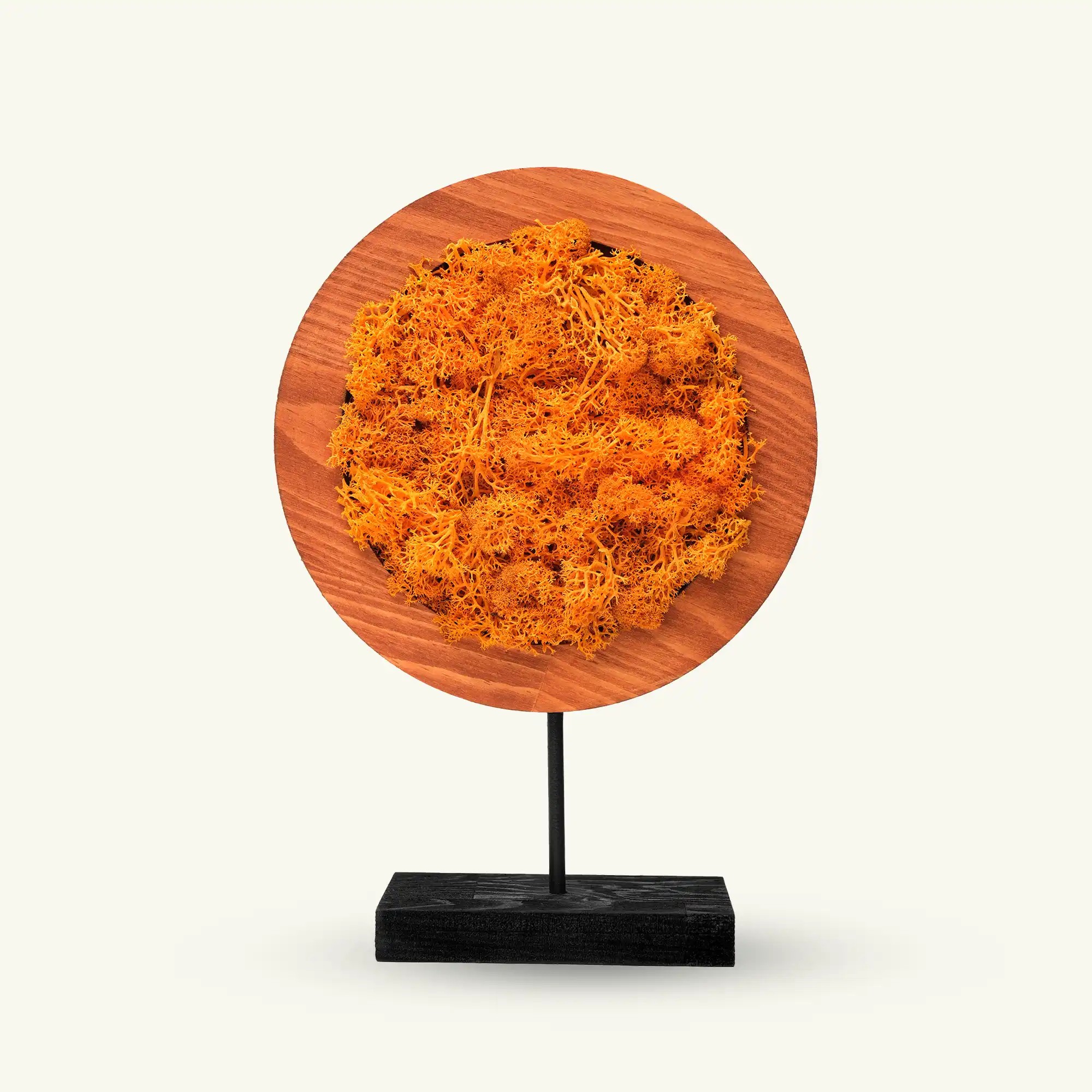 Orange Round Moss Yosunlu Dekoratif Obje