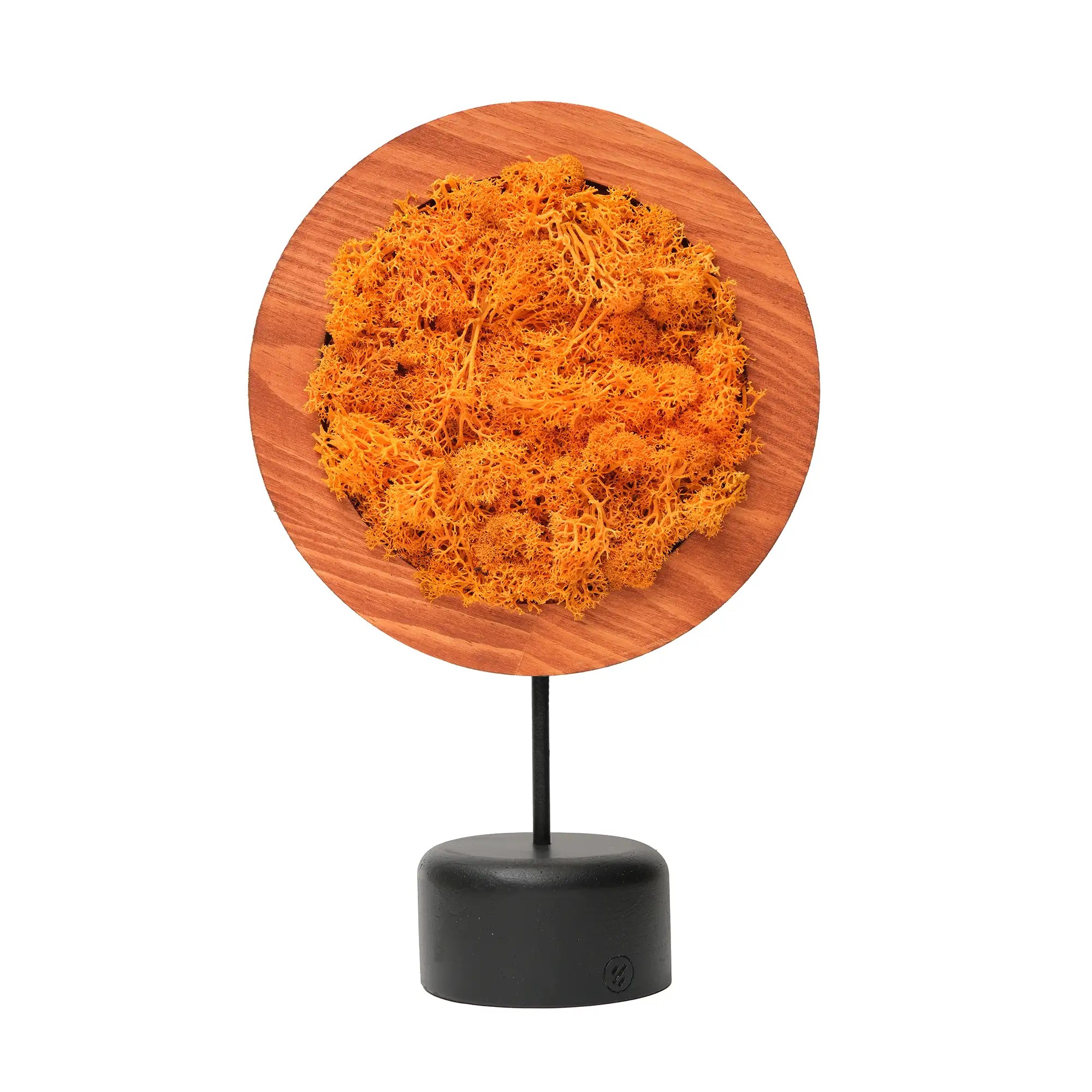 Orange Round Moss Dekoratif Obje