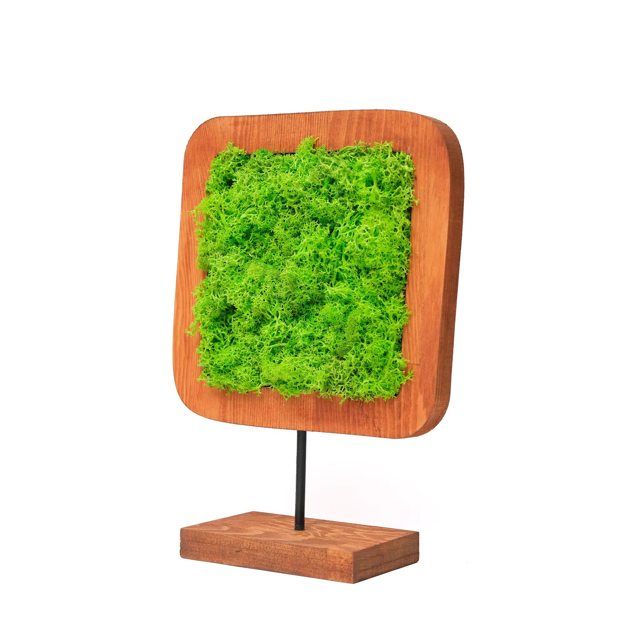 Moss Irregular Mossy Decorative Object