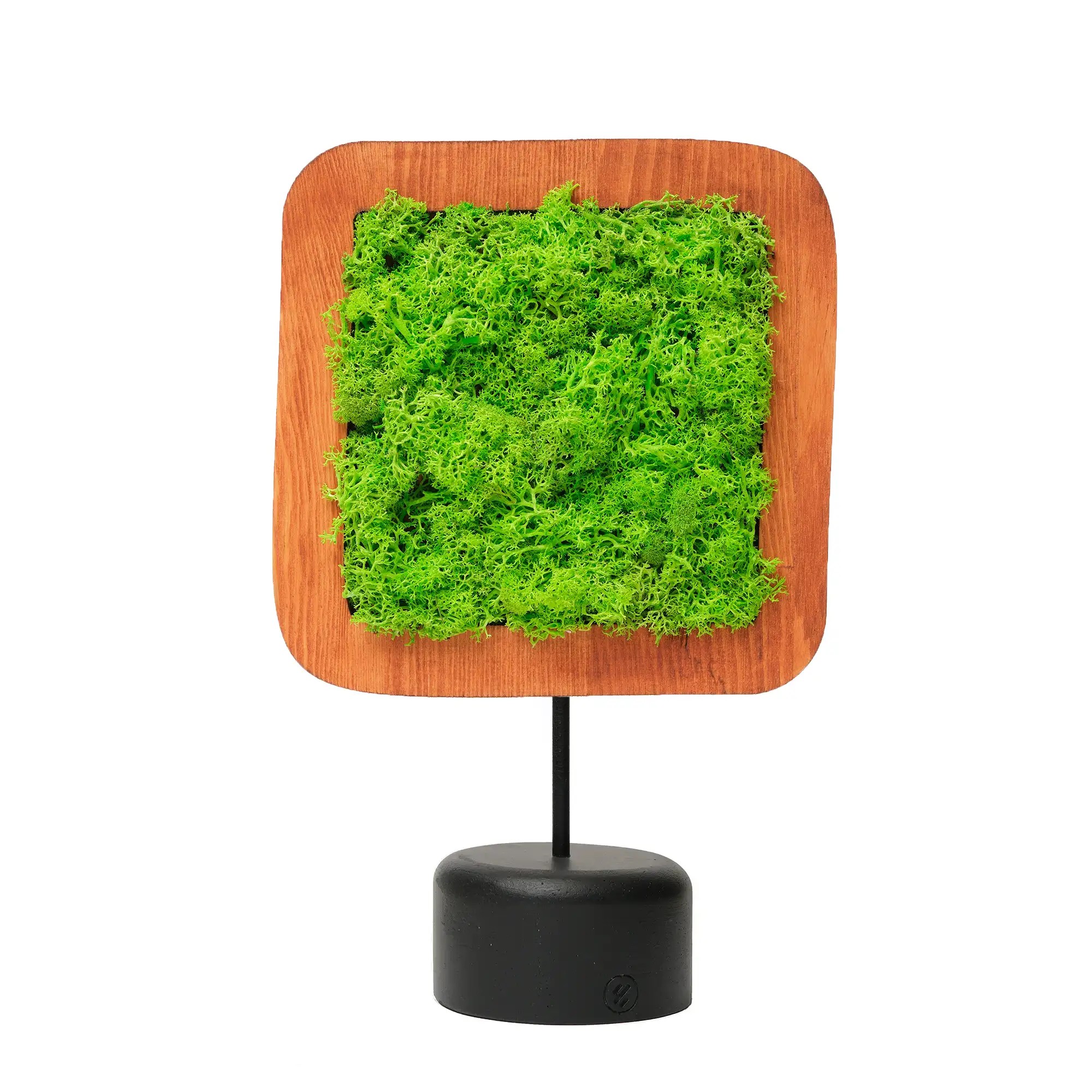 Moss Irregular Mossy Decorative Object