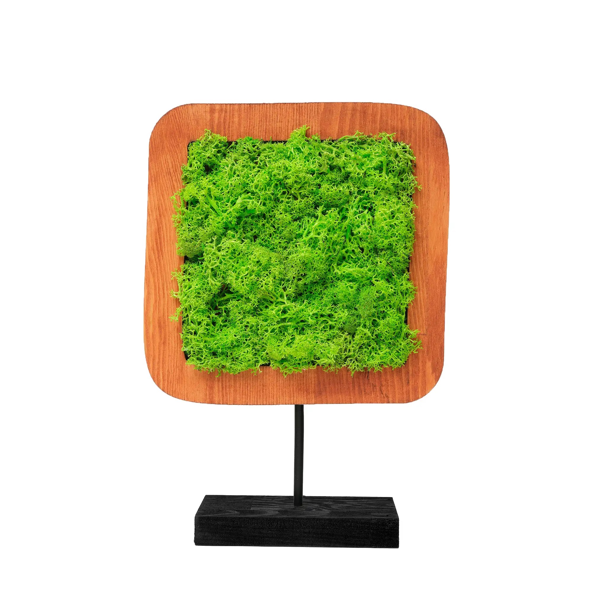 Moss Irregular Mossy Decorative Object