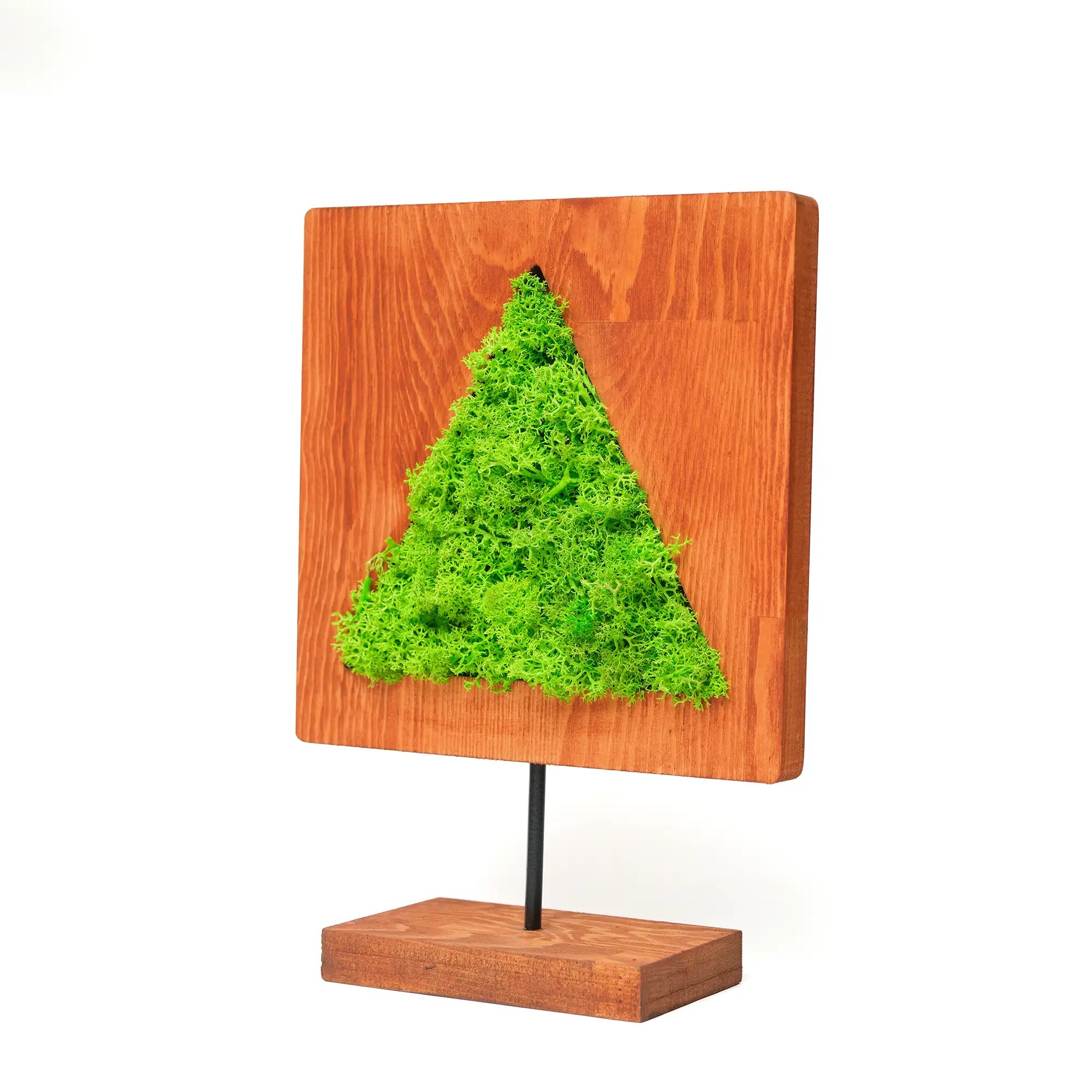 Triangular Moss Decorative Obje