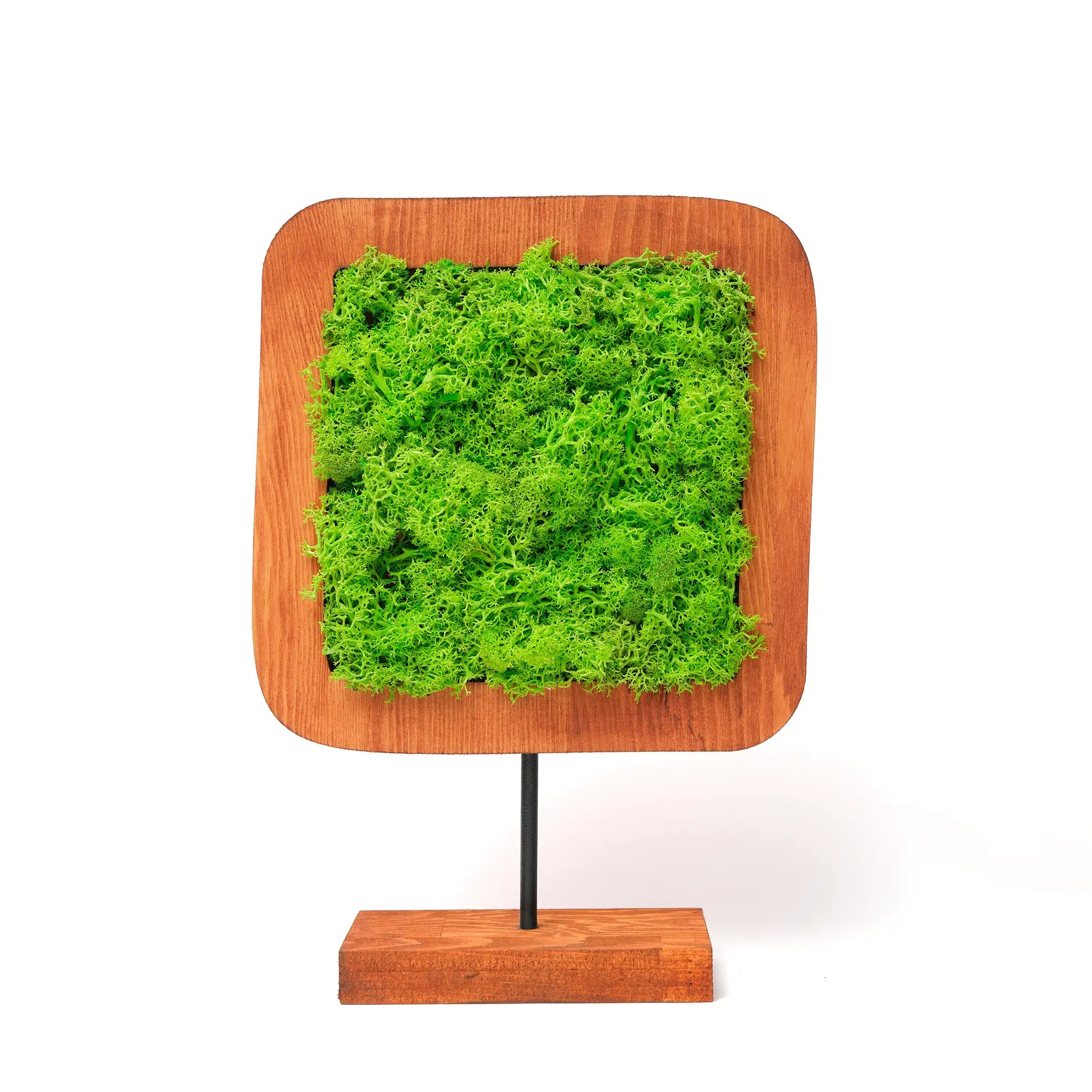 Moss Irregular Mossy Decorative Object