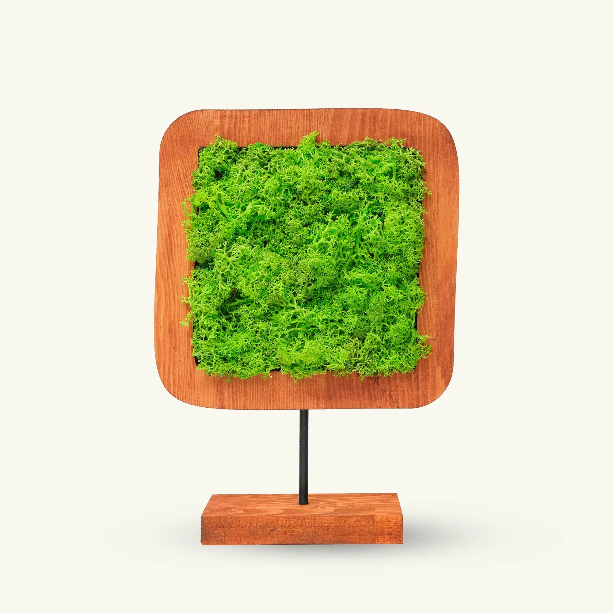 Moss Irregular Mossy Decorative Object