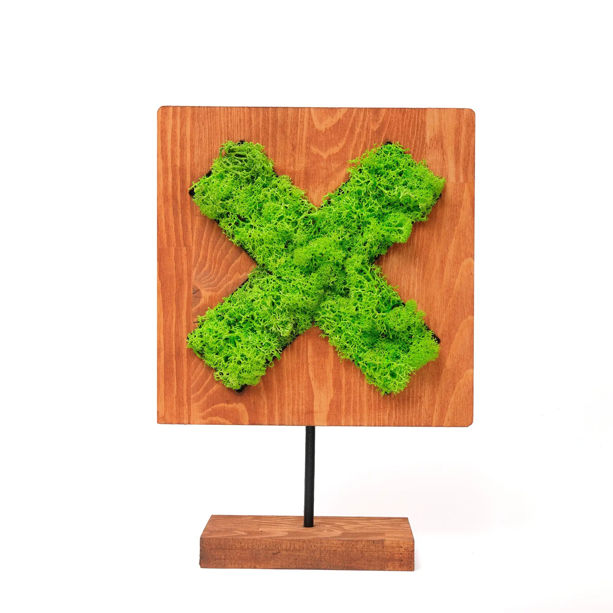 Moss X Mossy Decorative Object