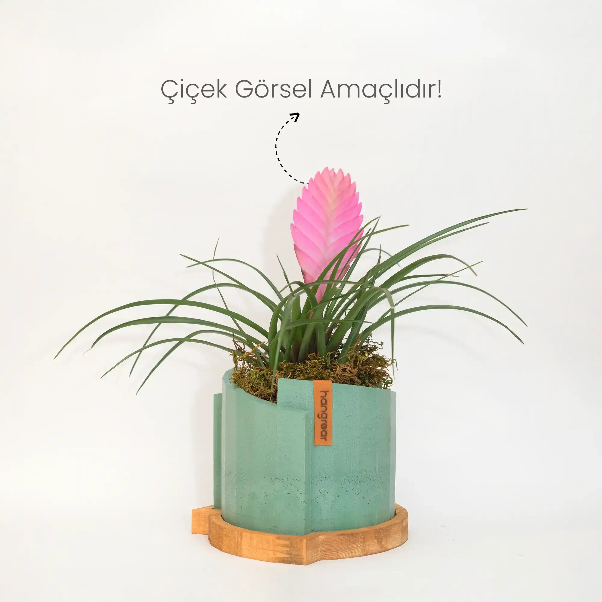 Abstract Flower Pot