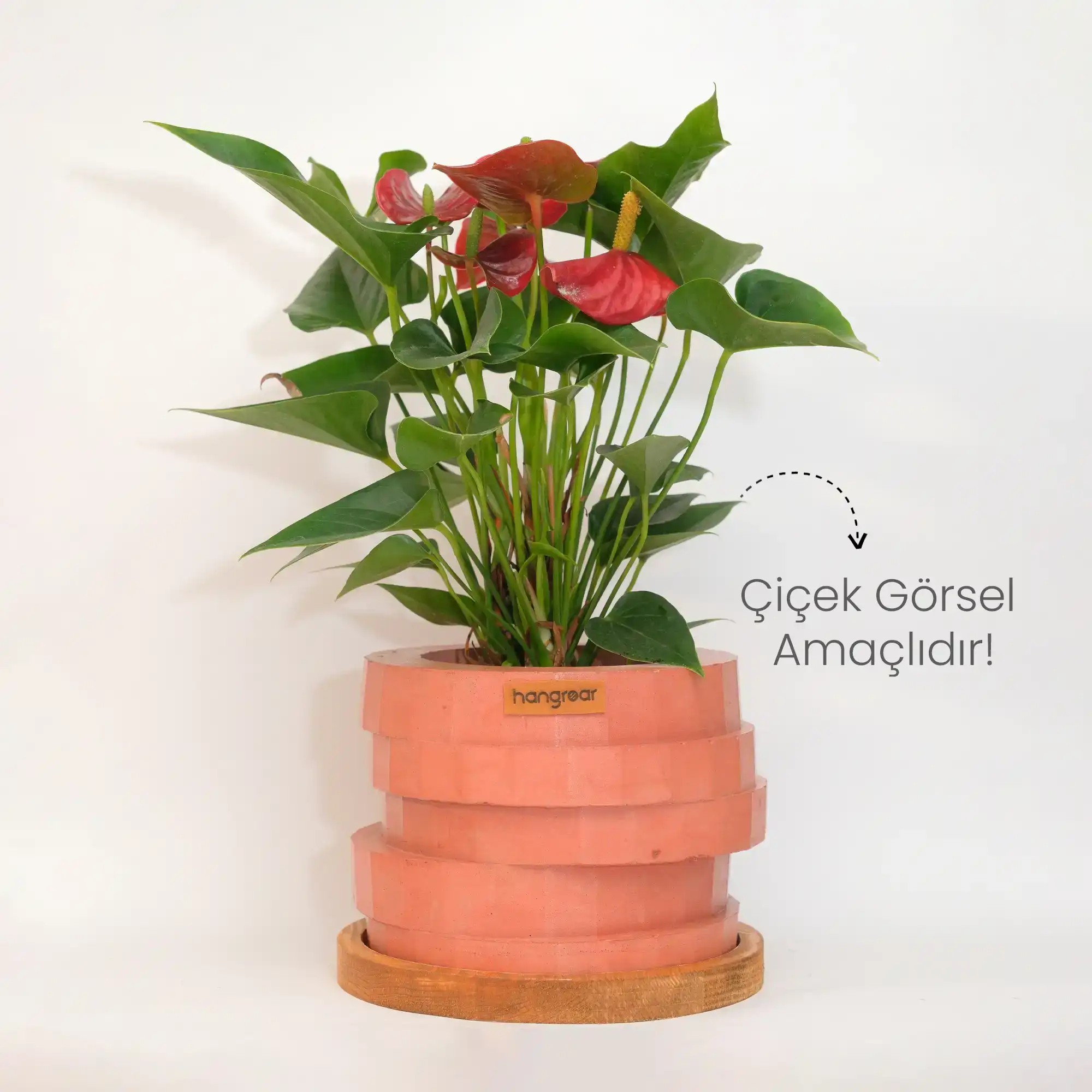 Zigzag Flower Pot