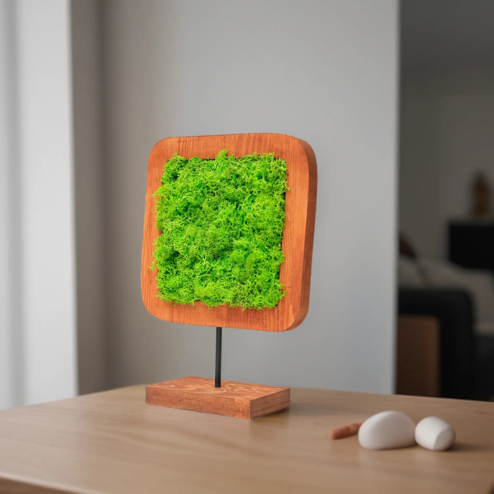 Moss Irregular Mossy Decorative Object