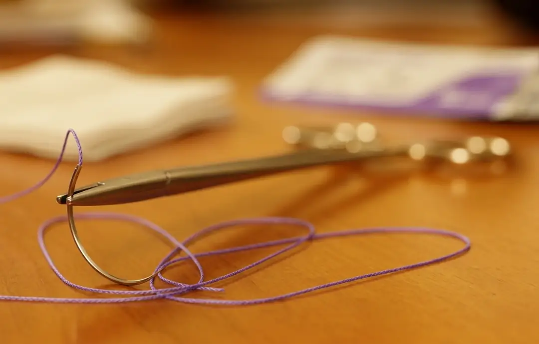 Veteriner Hekimler İçin Sütür Seçim Rehberi