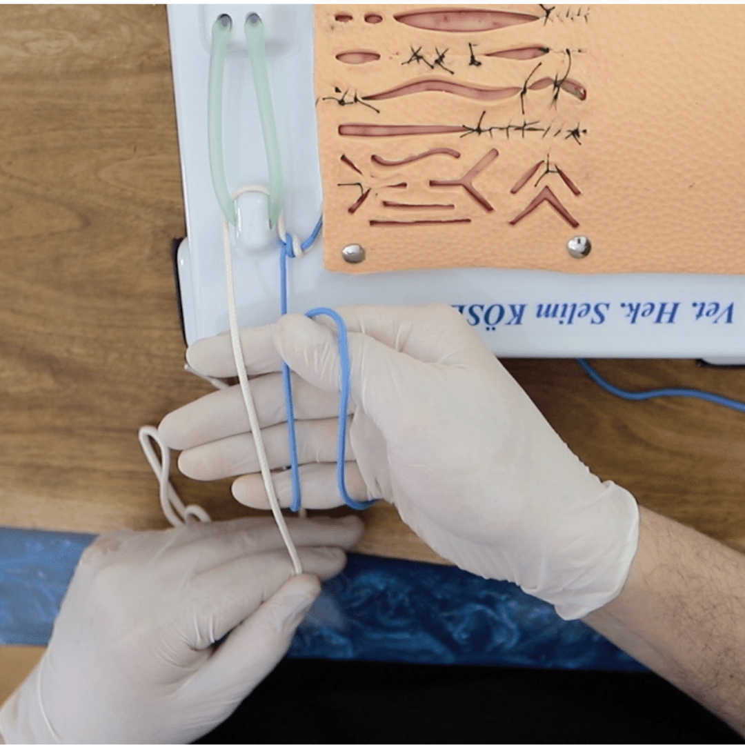 Suture Ligature Anastomosis Courses