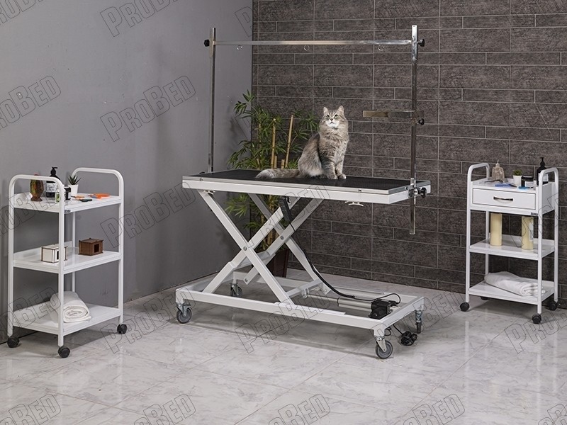 Veteriner Muayene ve Pet Bakım Masası-Large | LaborTech-6012