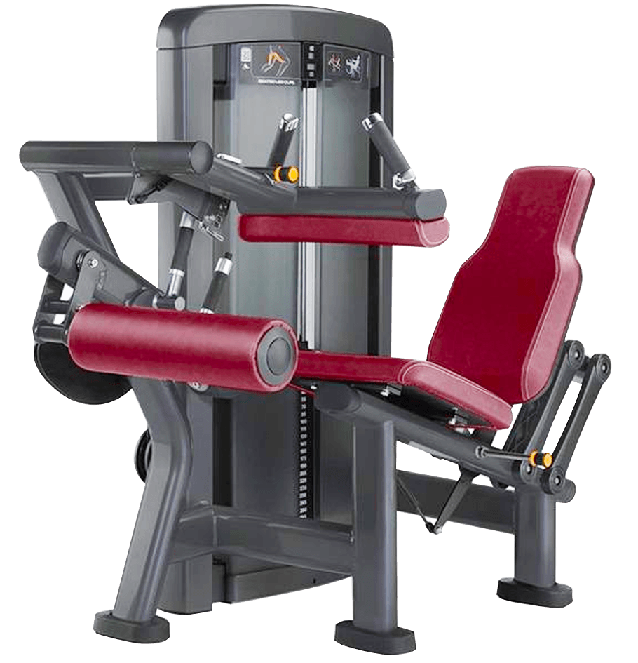 LF 17-LEG CURL / LEG EXTENSION