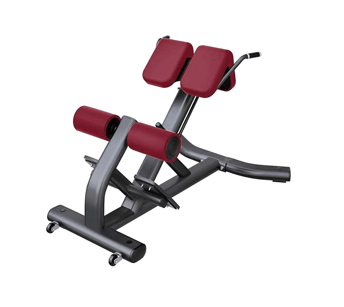  LF 49- BACK EXTENSION