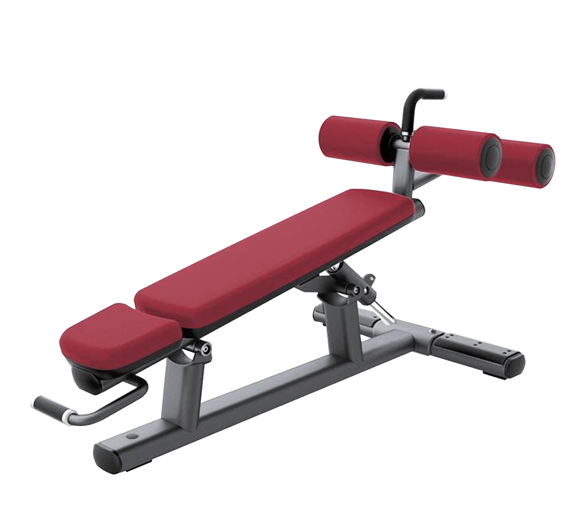 LF 51- ABDOMINAL BENCH
