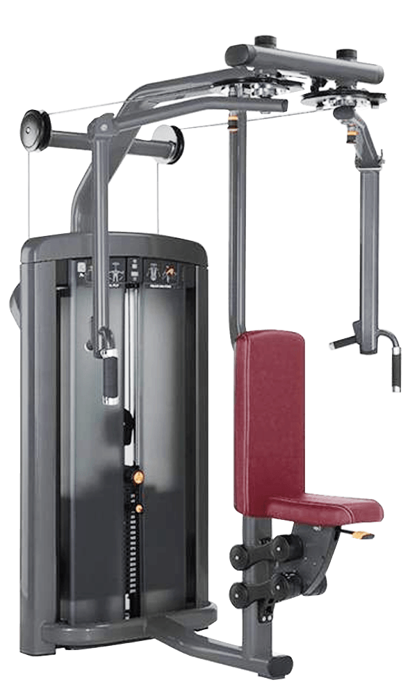 LF 06-REAR DELT / PEC FLY