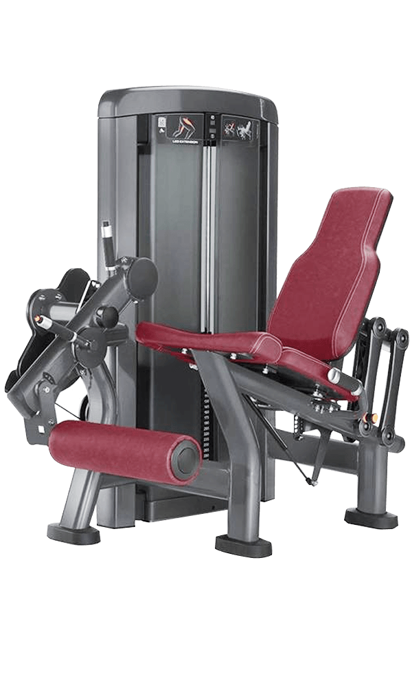 LF 16- LEG EXTENSION