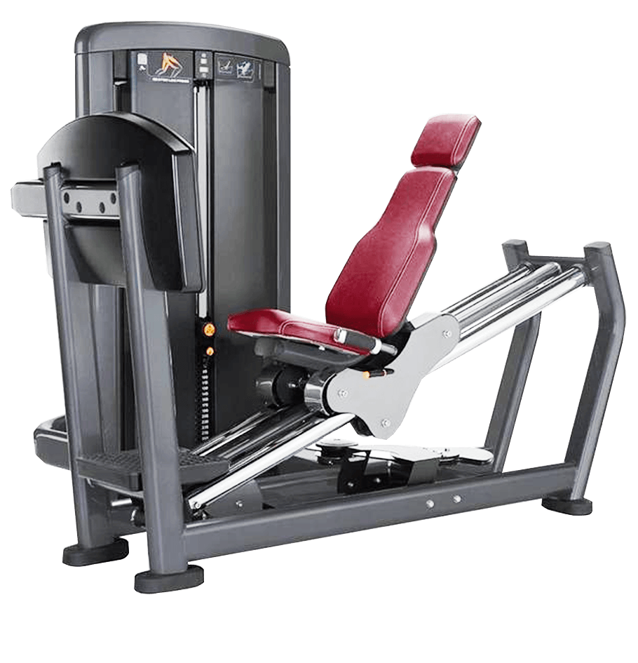 LF 18-LEG PRESS 