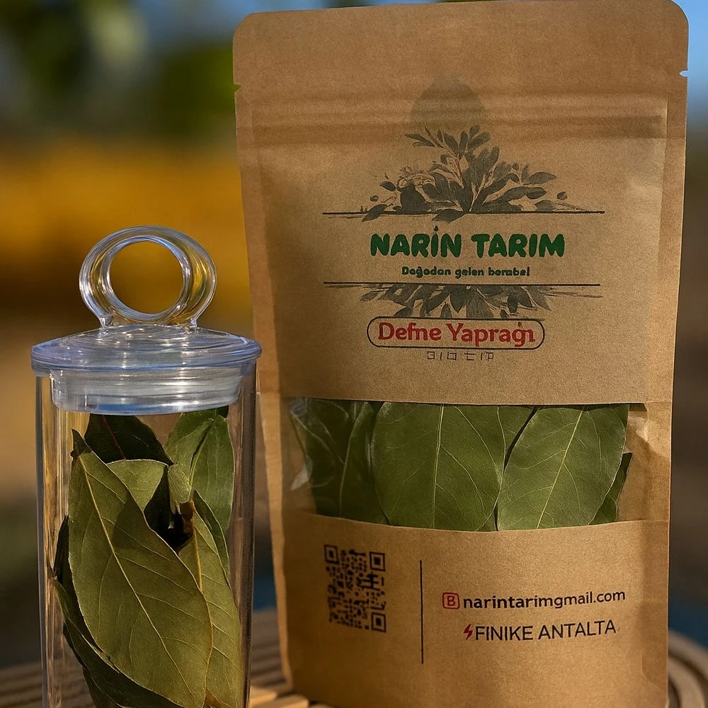 Defne Yaprağı