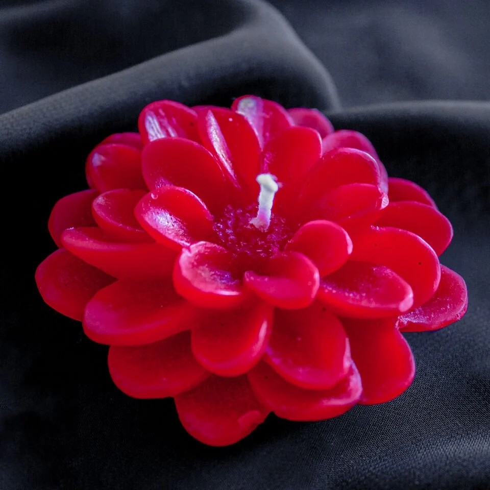 Hediye Kutulu Lotus Çiçeği Mum Modelleri - Kırmızı
