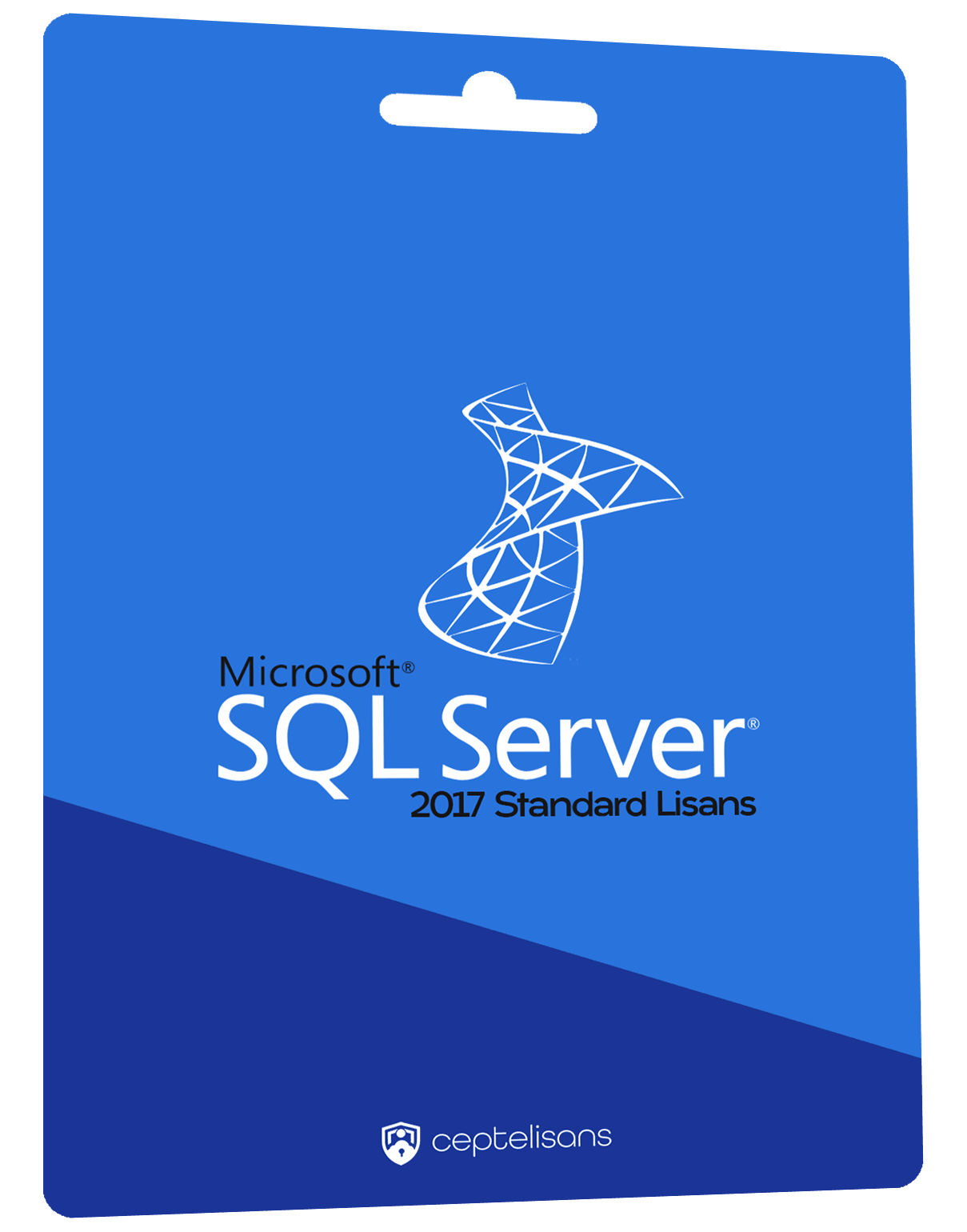 SQL Server 2017 Standard Lisans
