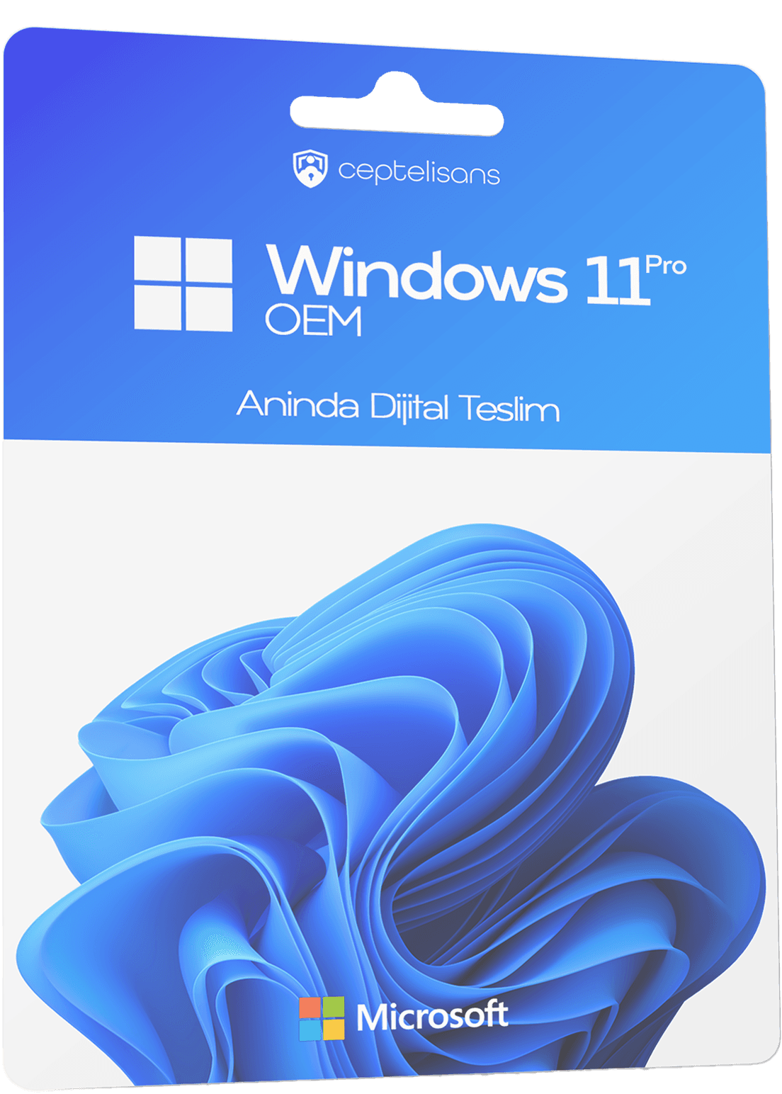 Windows 11 Pro Lisans - OEM
