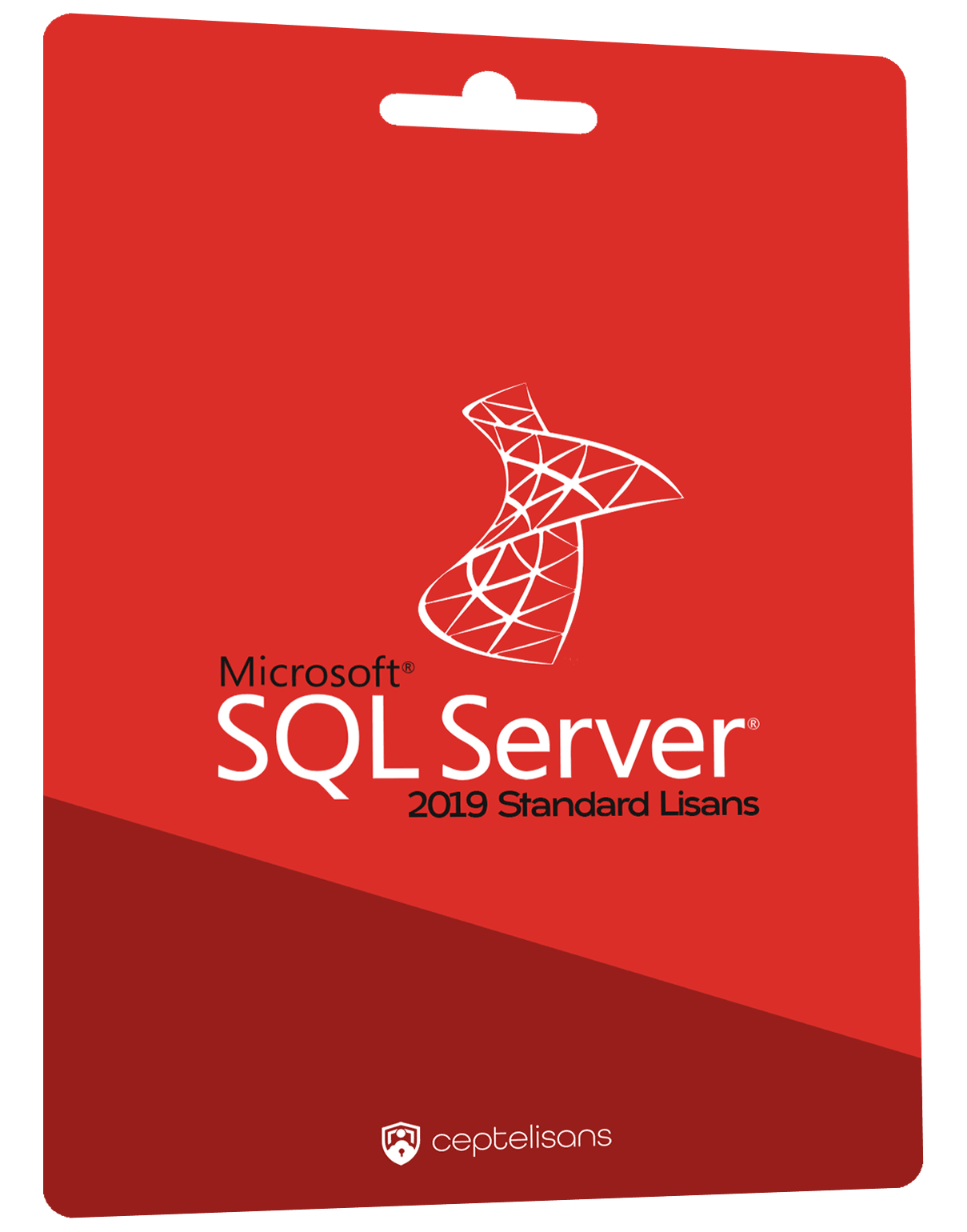 SQL Server 2019 Standard Lisans