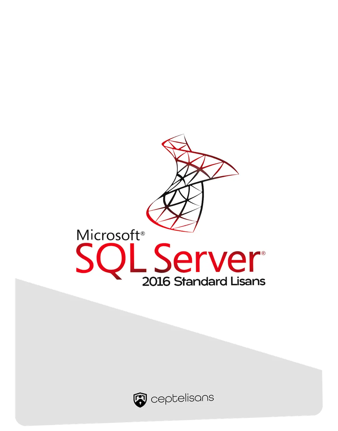 SQL Server 2016 Standard Lisans Fiyatları 2025 - Cepte Lisans
