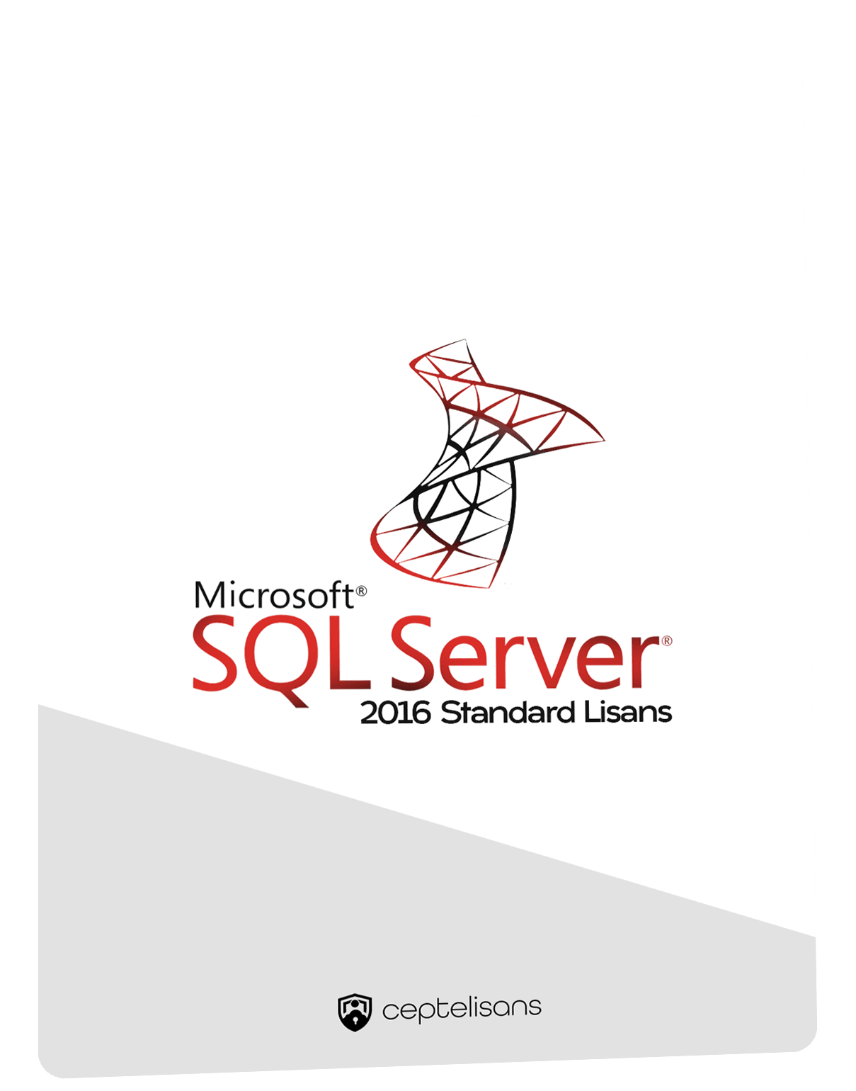SQL Server 2016 Standard Lisans