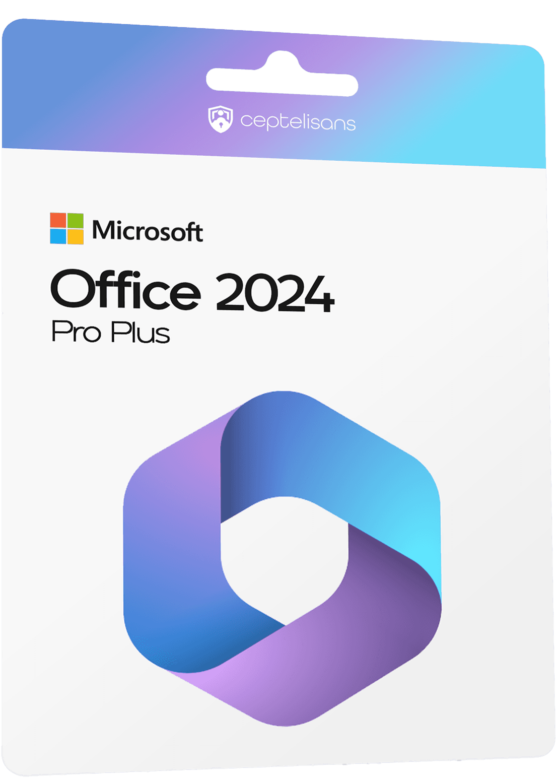 Office 2024 Pro Plus Lisans