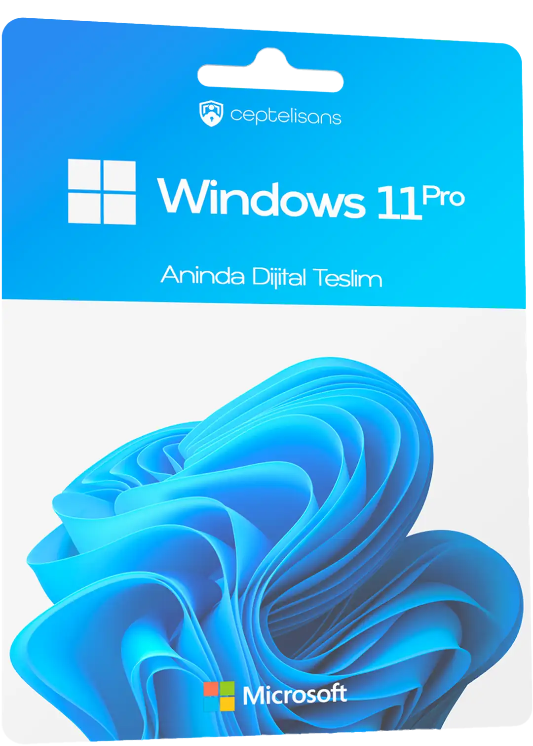 win11pro-revize.jpg
