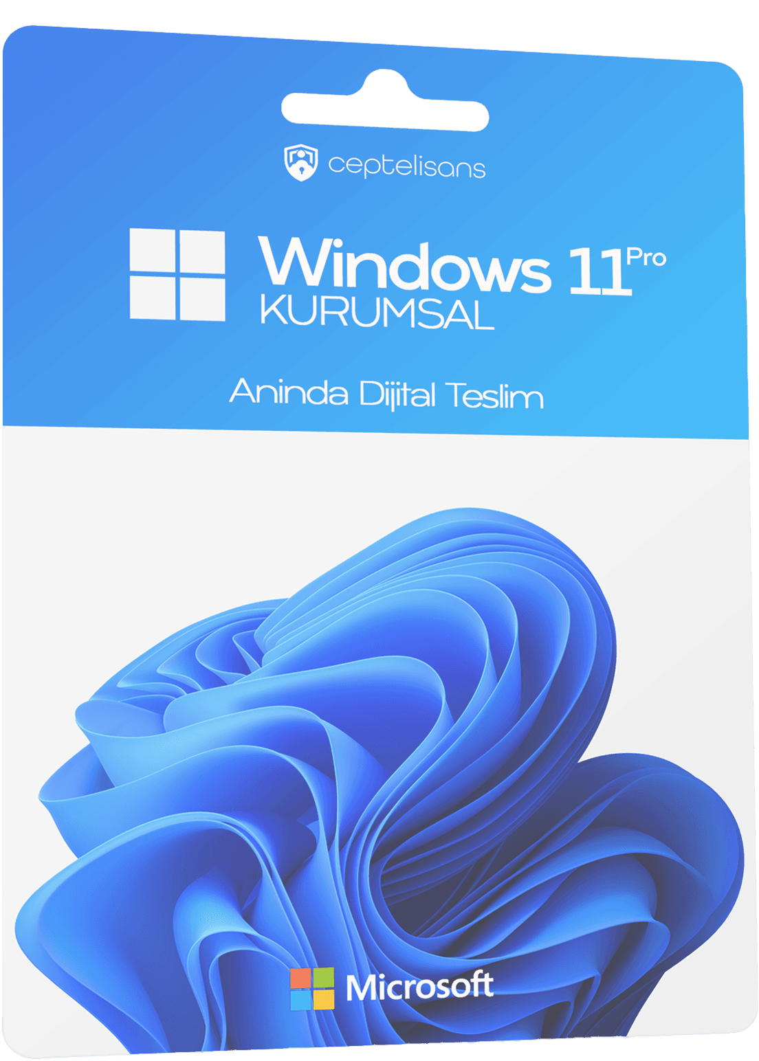 Windows 11 Pro Lisans - Kurumsal