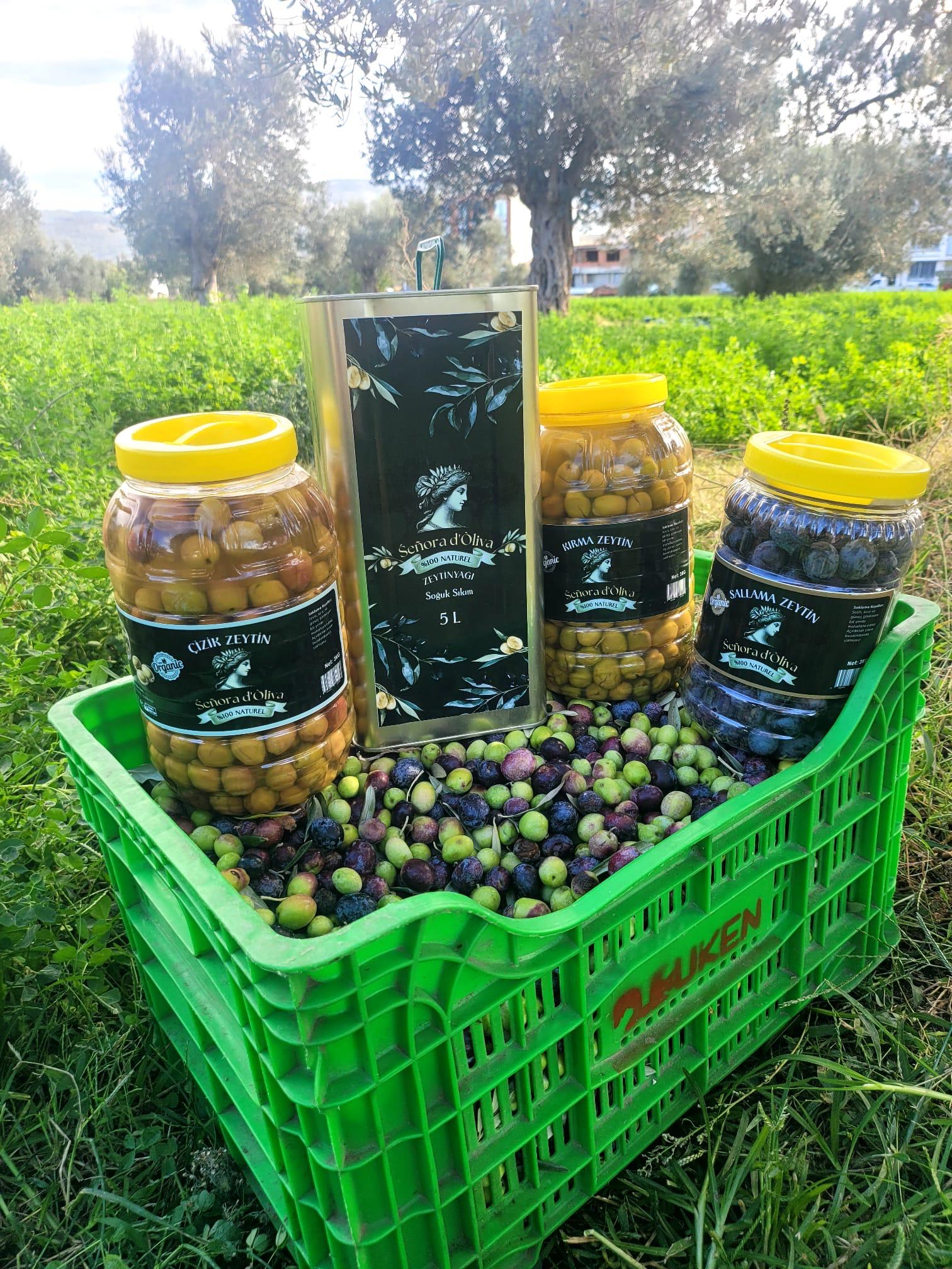 Senorad'Oliva Çizik Zeytin 3 Kg
