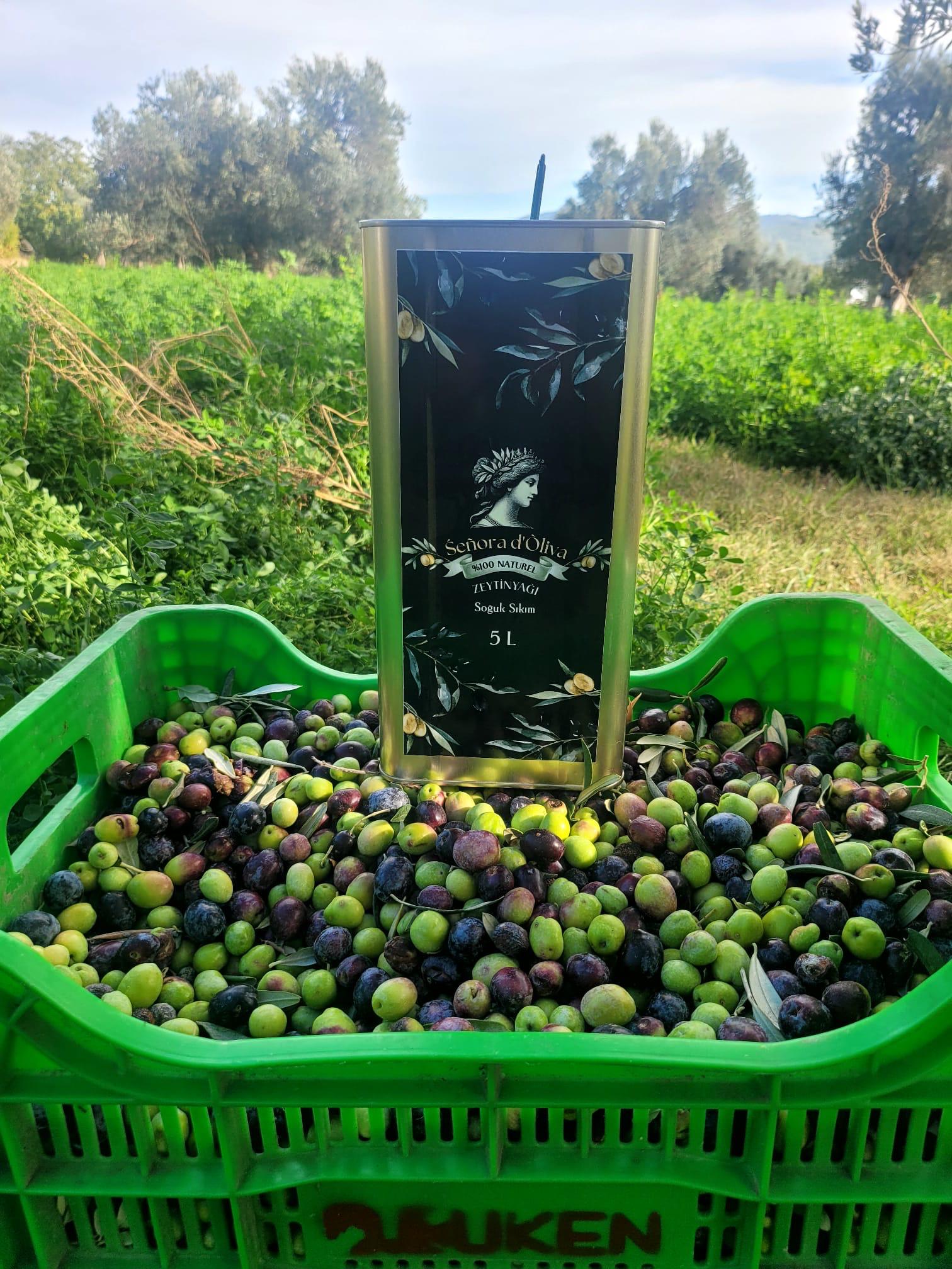  Senorad'Oliva Soğuk Sıkım Zeytinyağı Doğal Üretim 5Lt