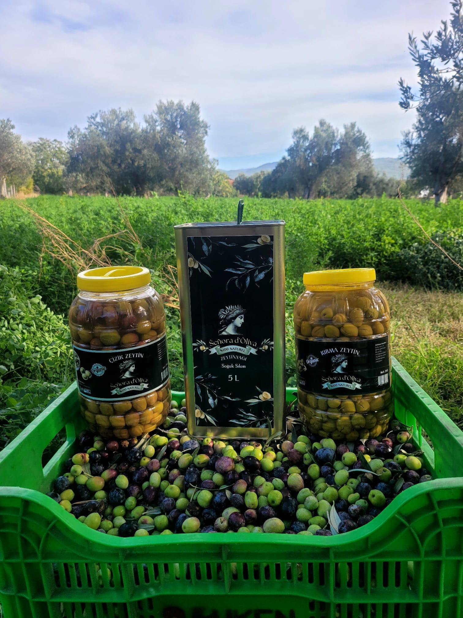  Senorad'Oliva Soğuk Sıkım Zeytinyağı Doğal Üretim 5Lt