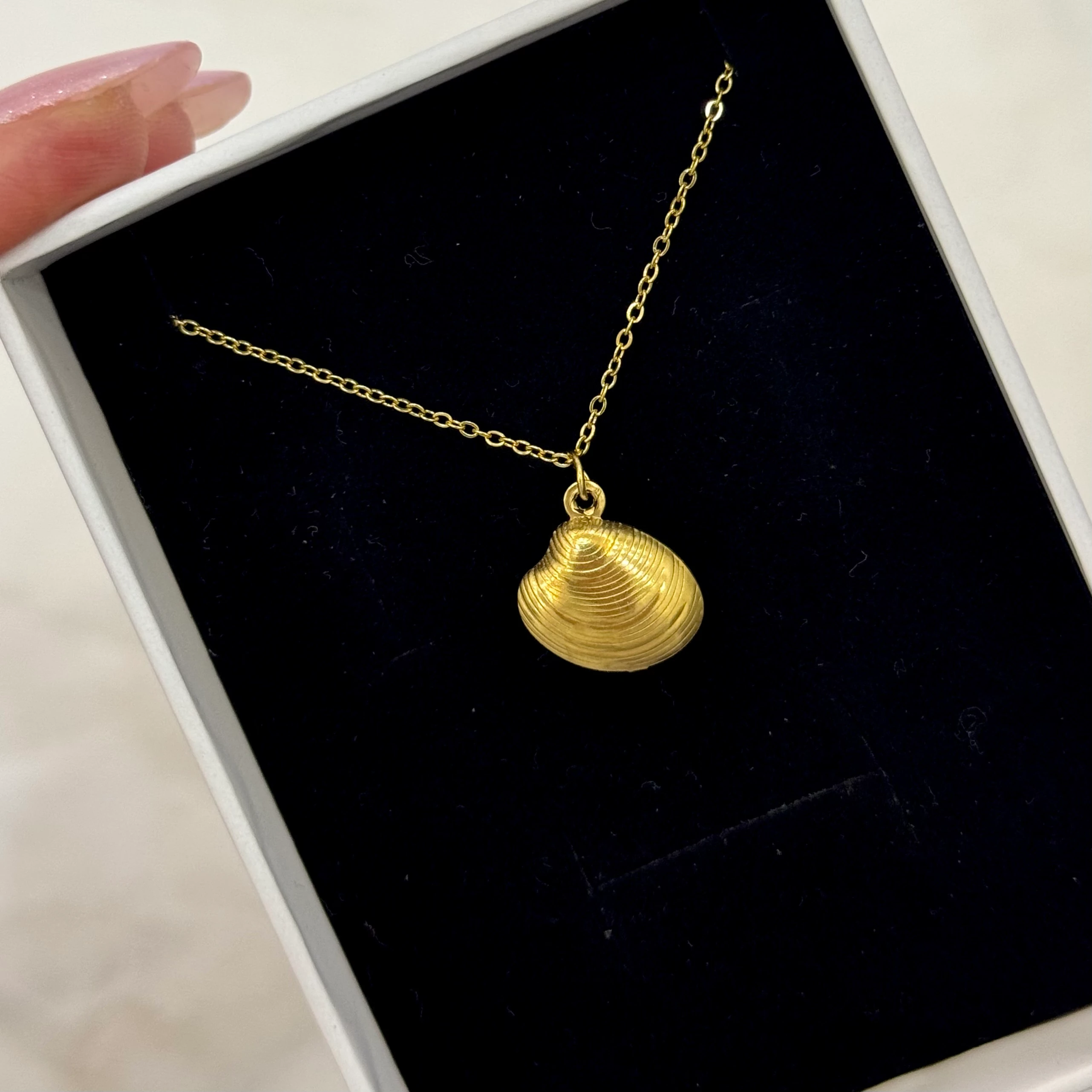 Çelik deniz kabuğu kolye