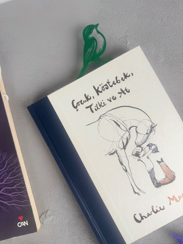 4'lü Set Kuş Figürlü Kitap Ayracı 