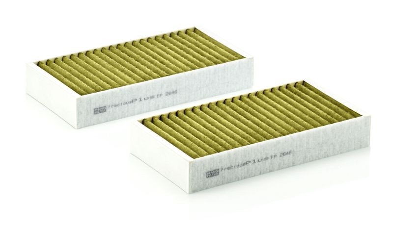 POLEN FILTRESI TK. (POLIFENOLLU) X164 06>12 W164 05>11 W251 05>12 image