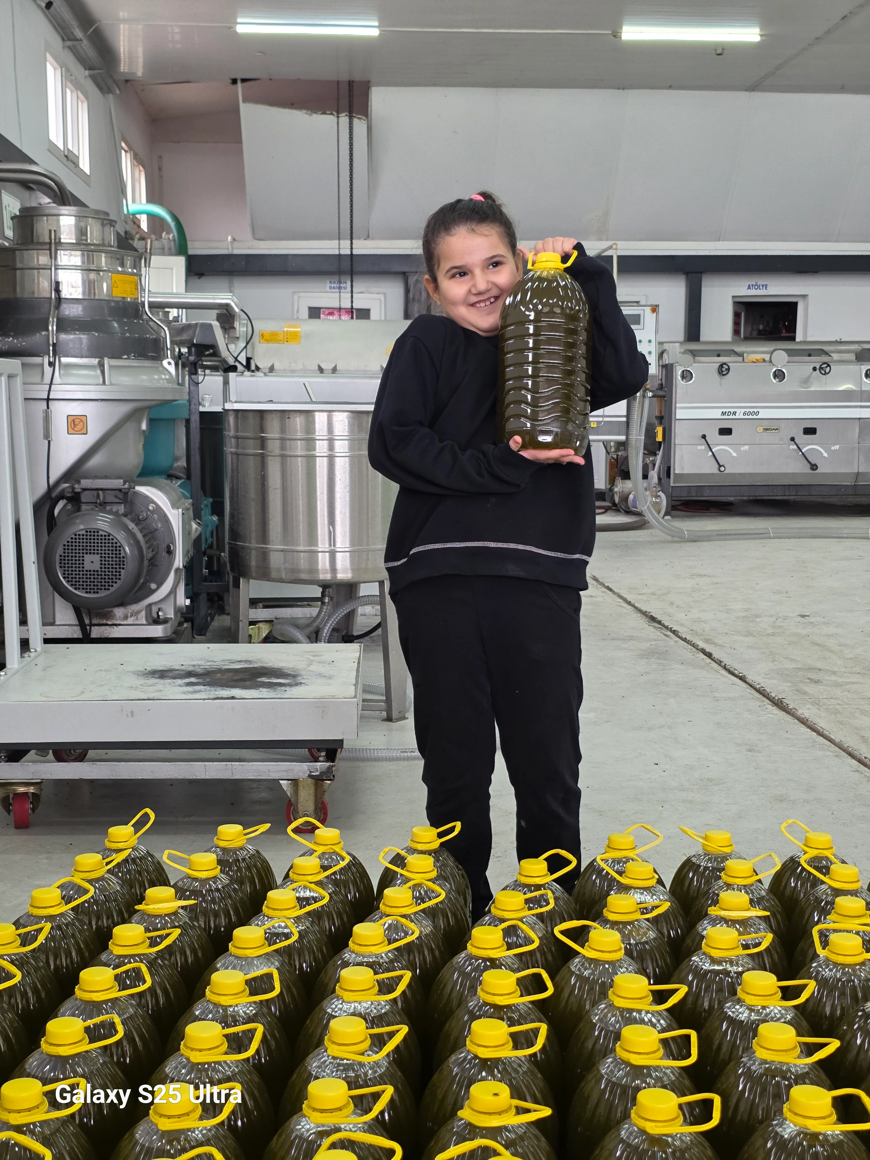 5 Litre Erken Hasat Soğuk Sıkım Zeytinyağı