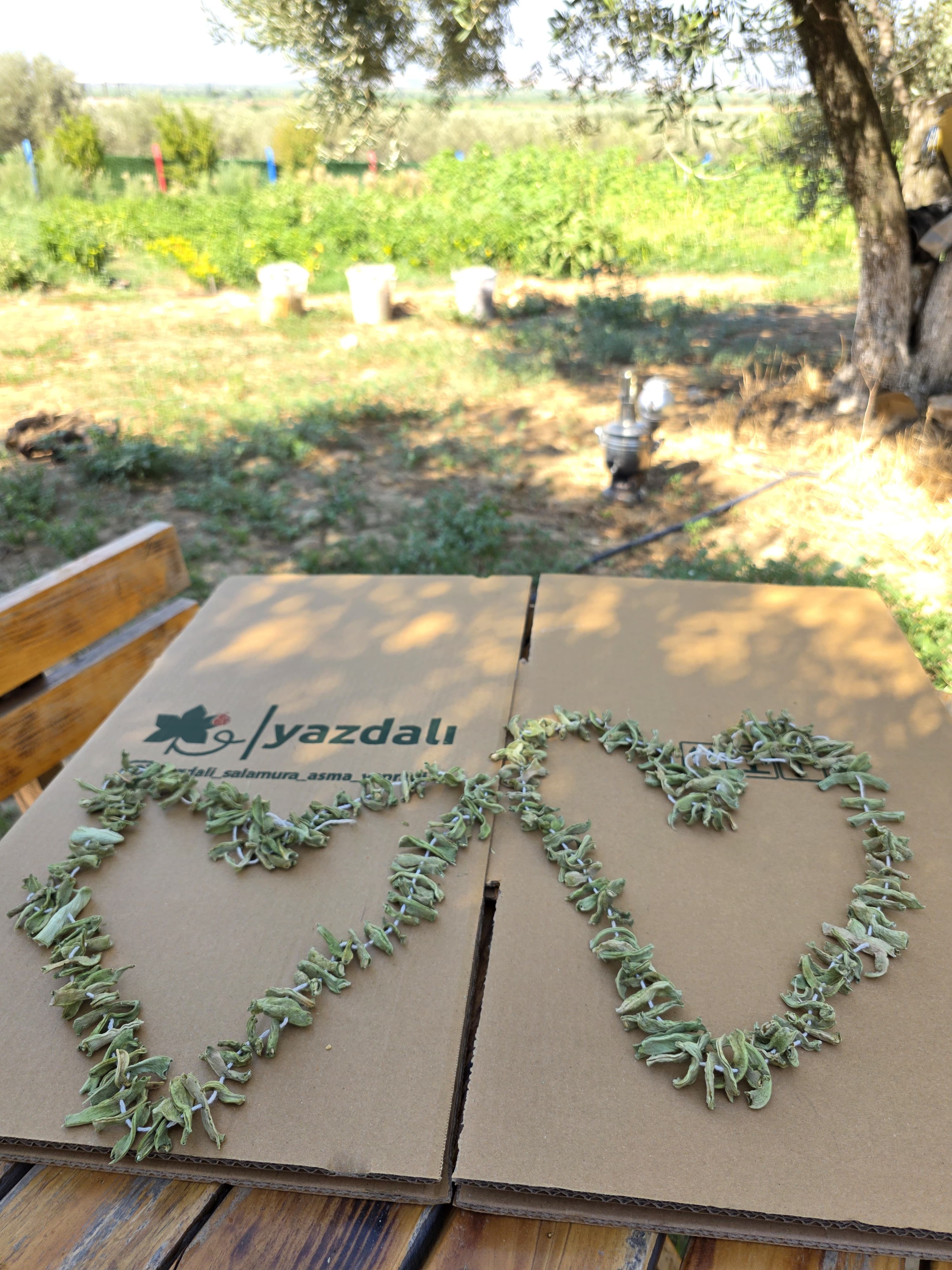 Doğal Kurutulmuş Taze Fasulye – Bir Dizi