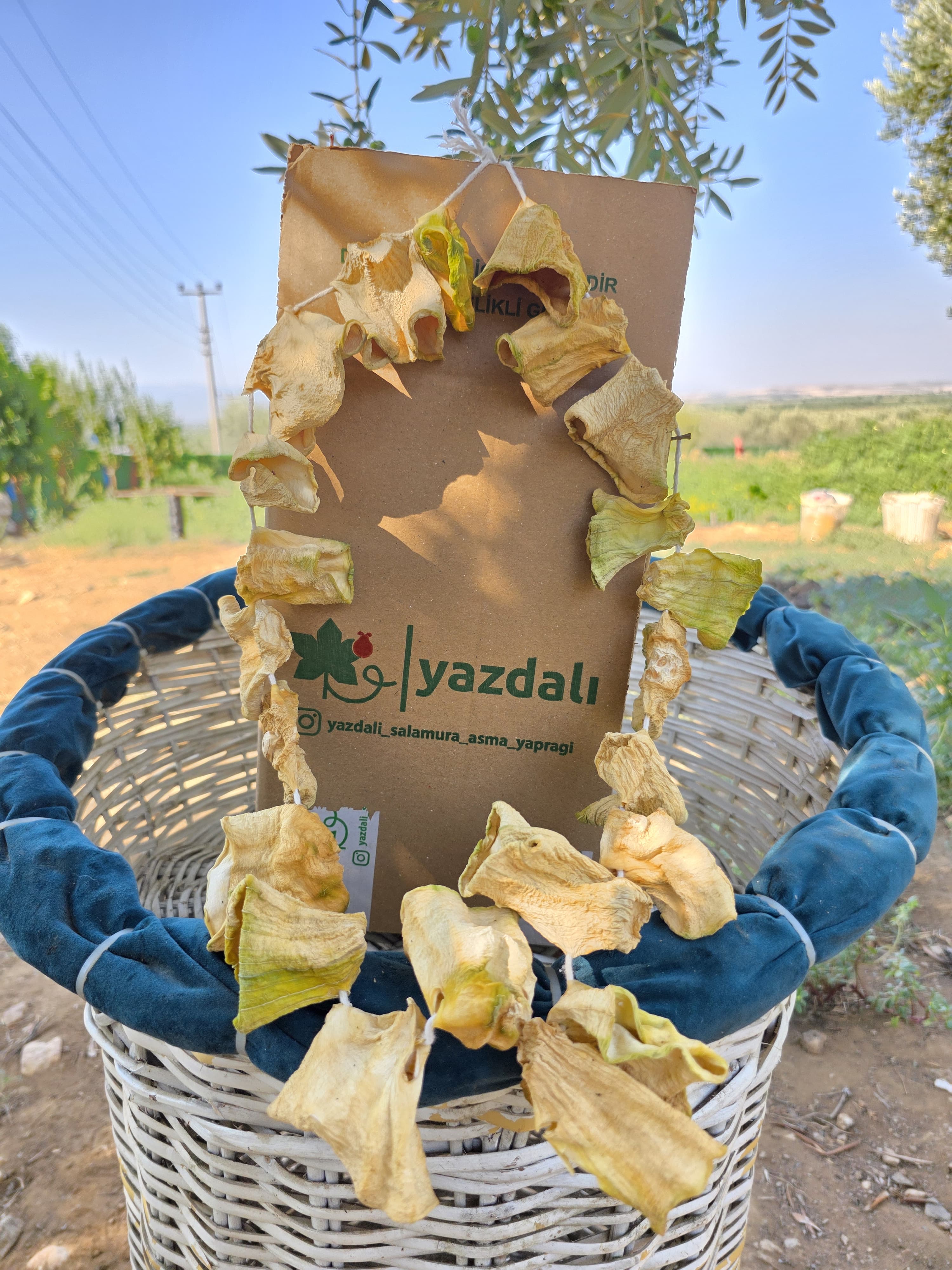 Doğal Kurutulmuş Dolmalık Kabak – Bir Dizi