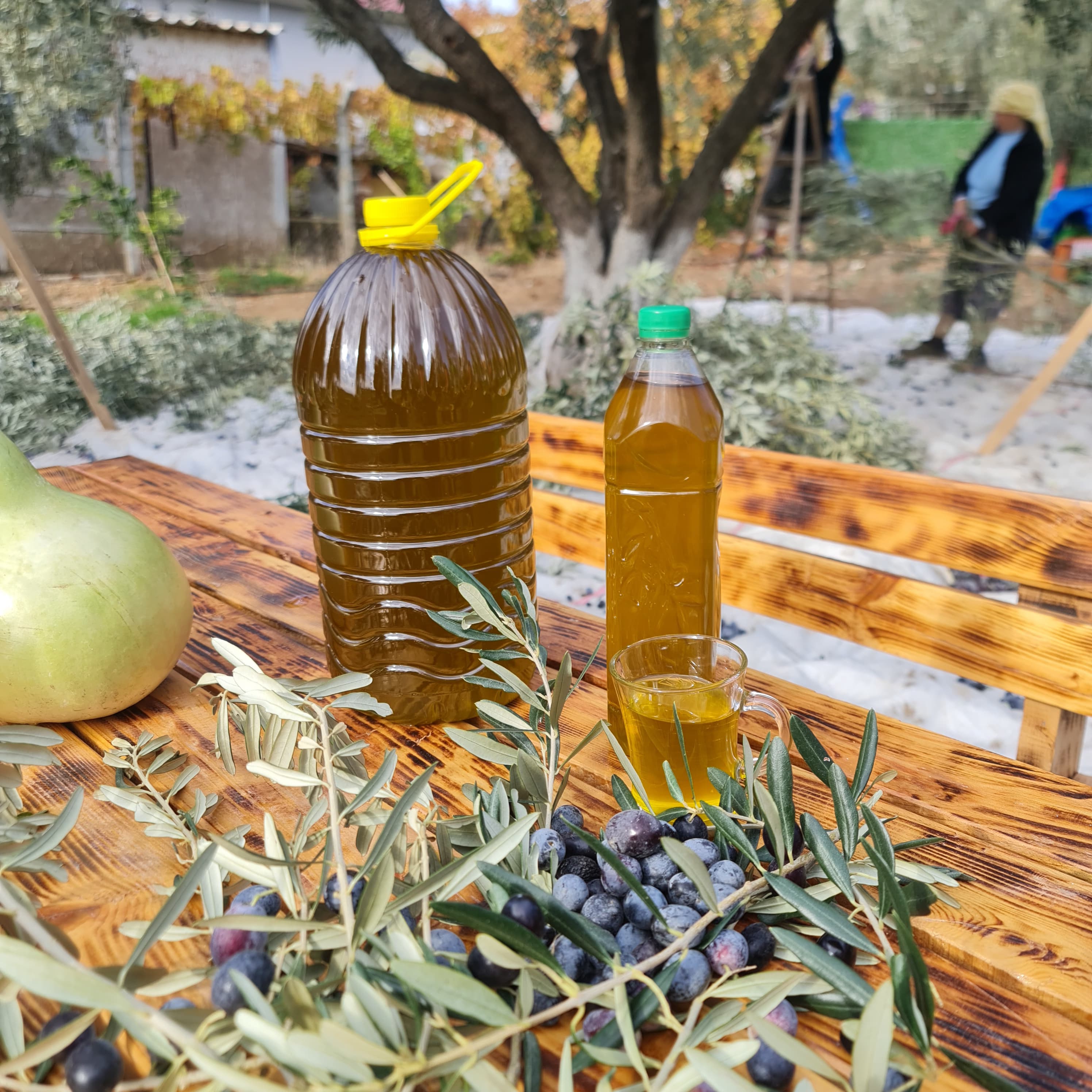 Olgun Hasat Zeytinyağı - Tek Bahçenin Ürünü