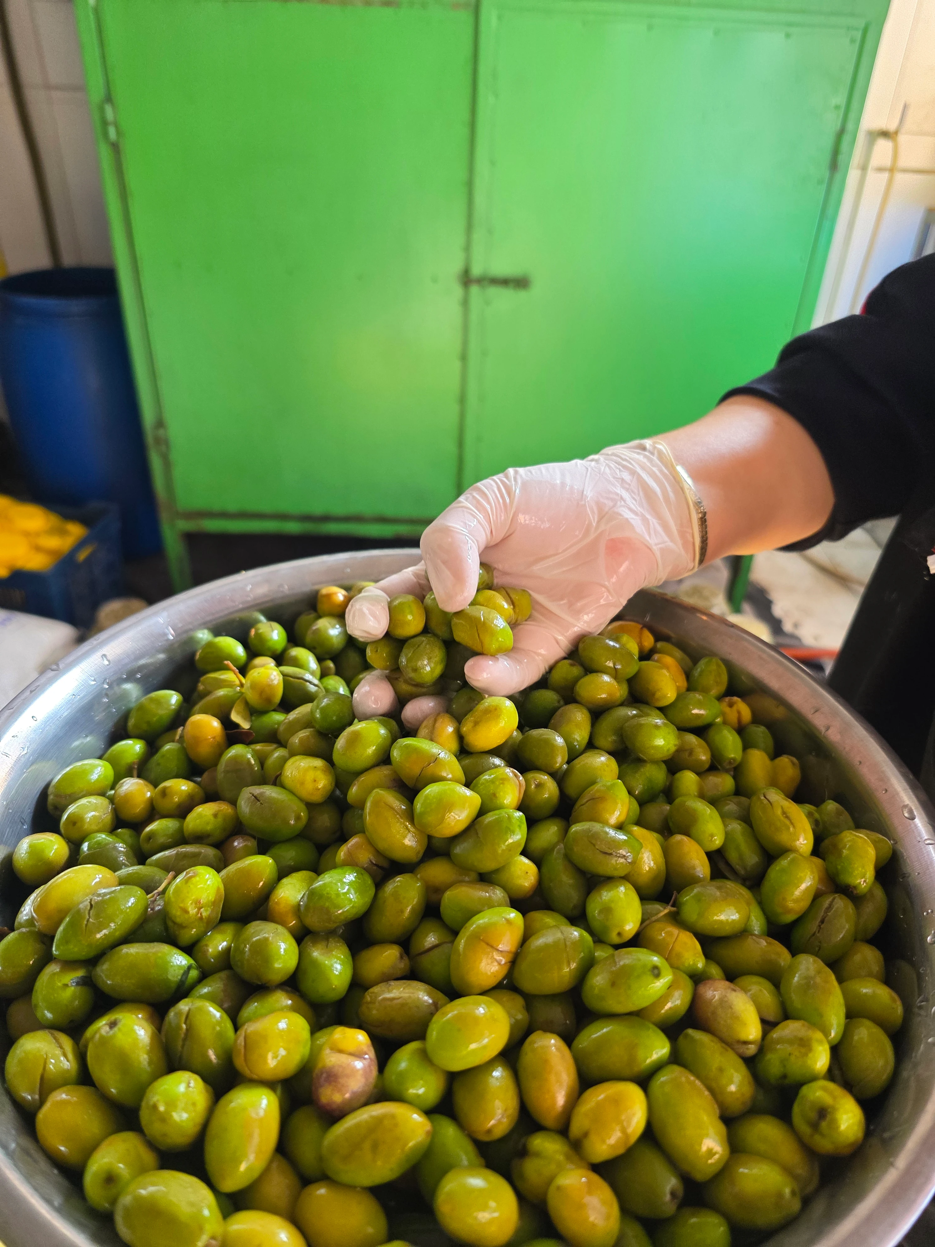 Kırma Yeşil Zeytin 5 Litrelik Bidonda Net 3 Kg